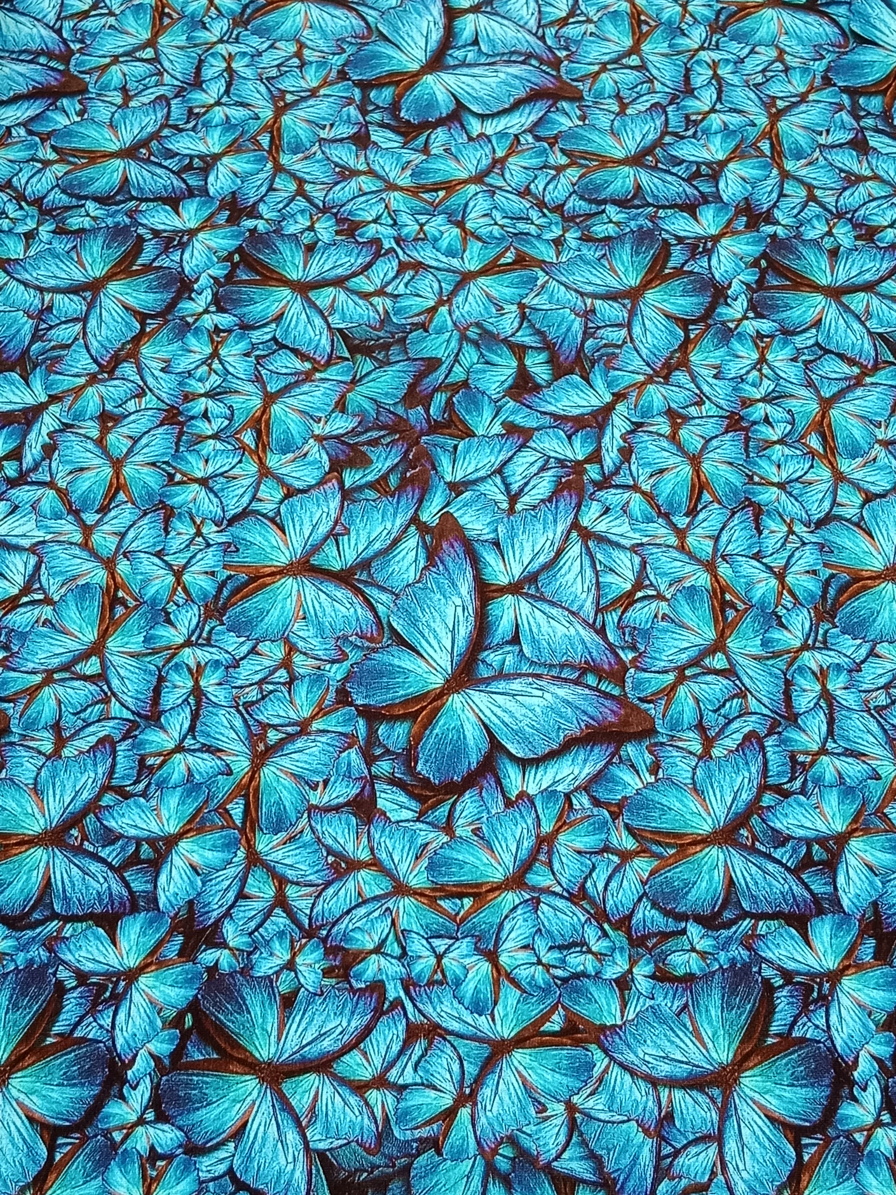 Úplet - Modří motýli