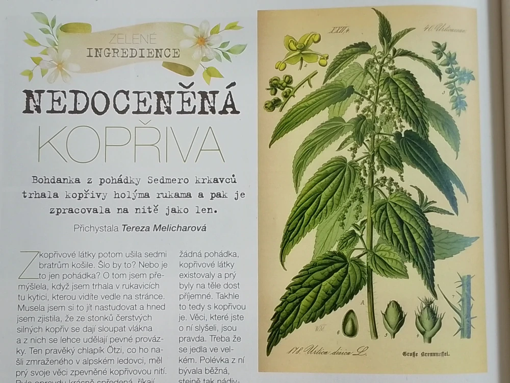 Časopis - KREATIV 3/2026