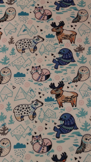 Počesaná teplákovina - Arktic