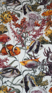 Teplákovina - Rybičky