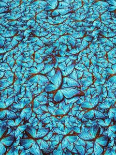 Úplet - Modří motýli